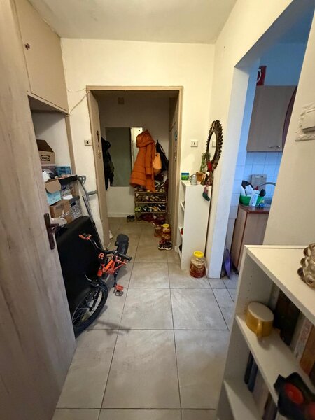 Baba Novac, Campia Libertatii, vedere spre parc IOR