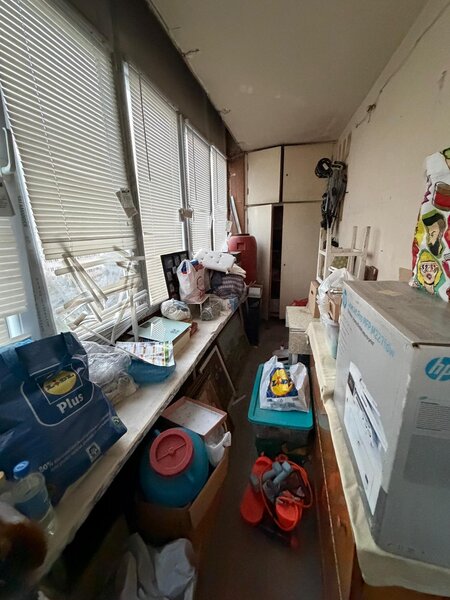 Baba Novac, Campia Libertatii, vedere spre parc IOR